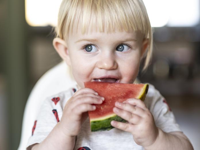 barn der spiser vandmelon