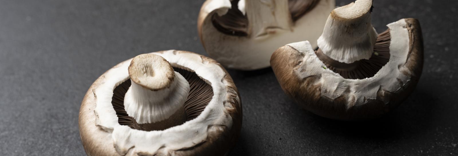 champignon
