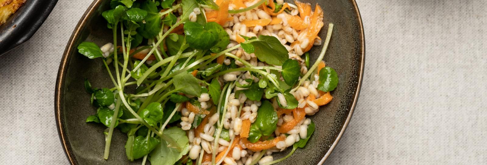 Salat af spelt, gulerødder og brøndkarse