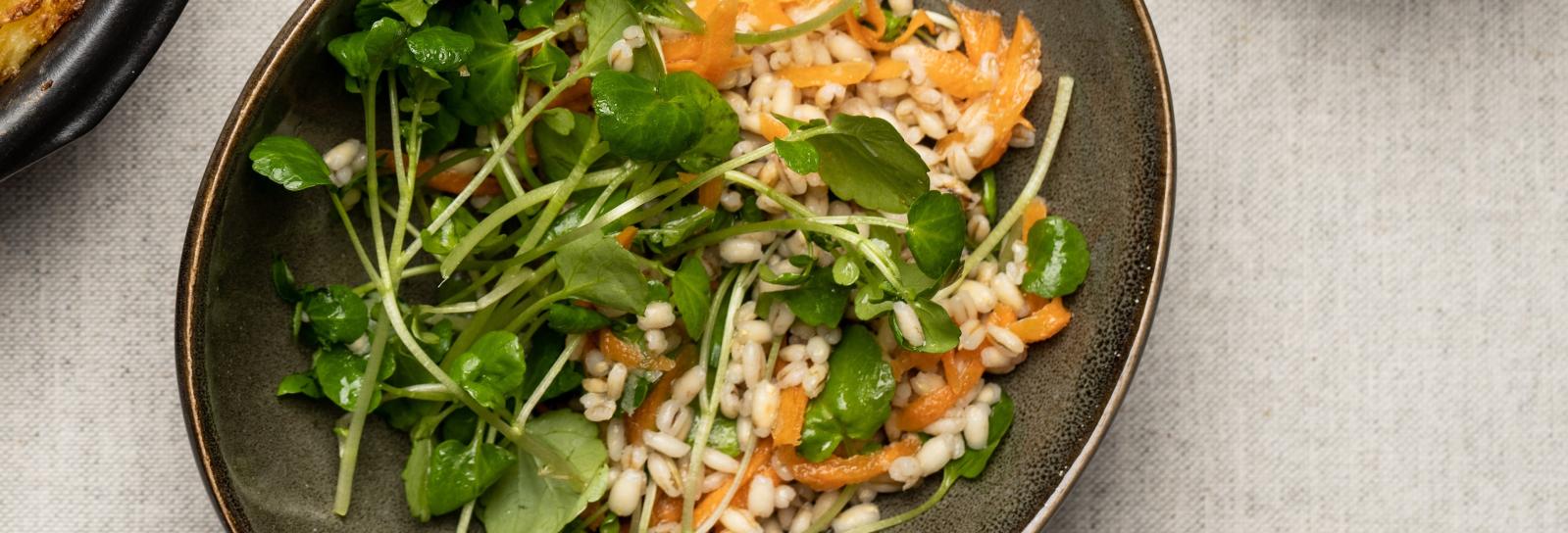 Salat af spelt, gulerødder og brøndkarse