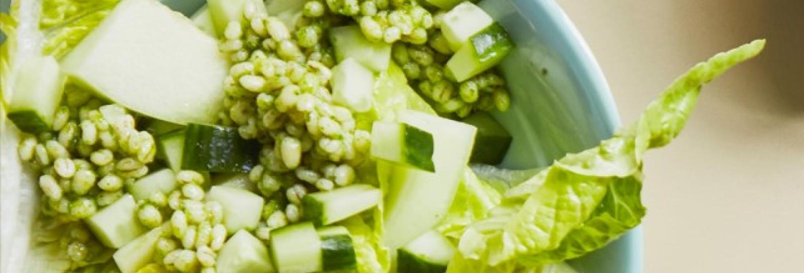 Grøn salat med hjertesalat, agurk, melon og korn